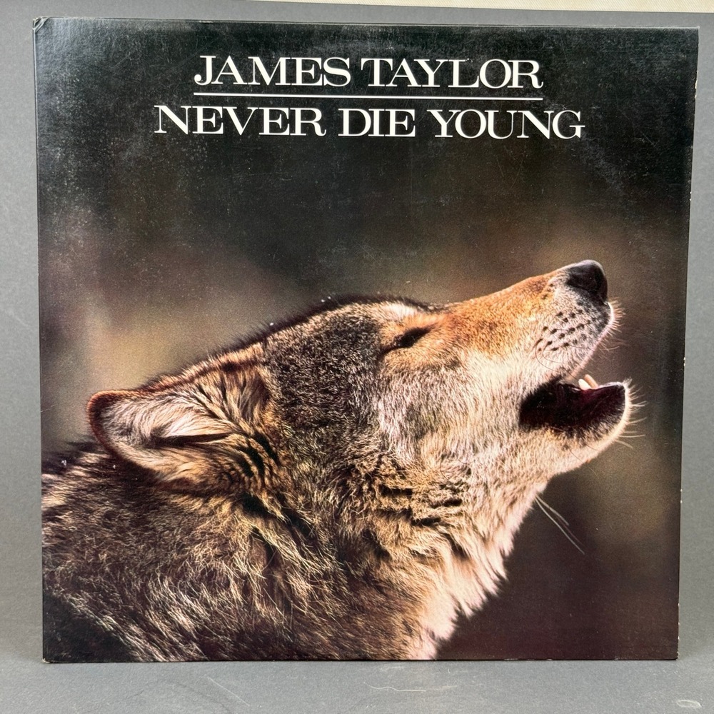 James Taylor Never Die Young‎ Vinyl Record LP 12"1988 -NEAR MINT